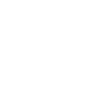 Services Seta Logo