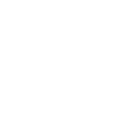Soya Bean
